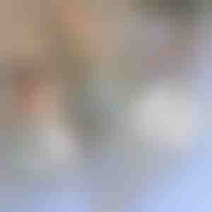 Taisymo juosta tinkleliams nuuo uodų | INSECTAPE