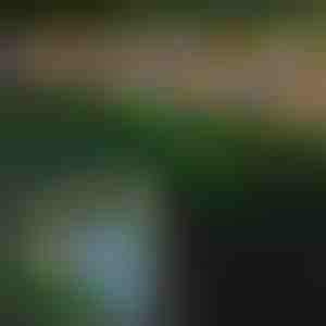 Drugelio formos saulės žibintai laukui | FLUTIX