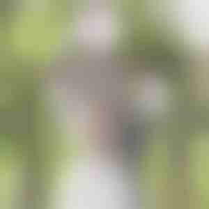 Visterijos gėlės imitacija | WISBLOOM