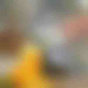 Rankinė vaisių sulčiaspaudė | JUVOPRESS