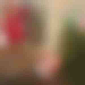 Kalėdų Senelis su parašiutu | SANTASWING