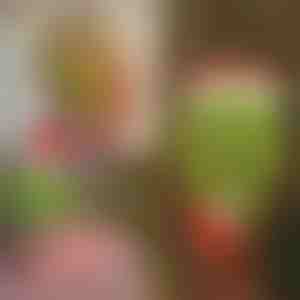 Kalėdinė Grinčo kojų dekoracija | ELFLEGS