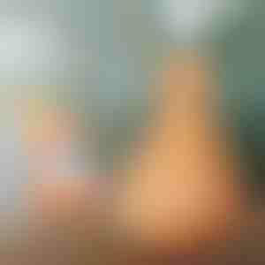 Medinis oro drėkintuvas | HUMISTER