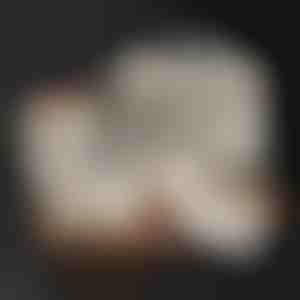 Maisto laikymo indų rinkinys | LUNCHIO