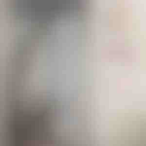 Magnetinis tinklelis nuo uodų | INSECTPROTECT