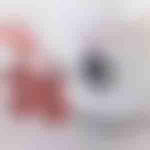 Baldų pervežimo rinkinys su 4 slankikliais ir keltuvu | LIFTROLLERS