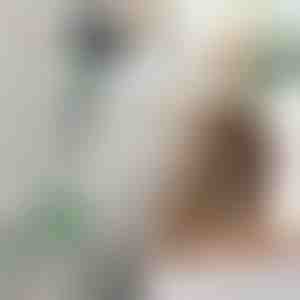 Reguliuojama plaukų džiovintuvo rankena | FENLUSK