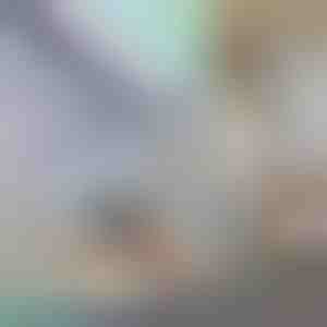 Dekoratyvinė ir privatumą sauganti langų plėvelė | PRISMWRAP