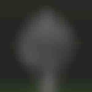 Kinetinis vėjo malūnas Sodo magija