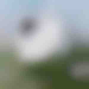 Nesudėtingas langų valymas | WINDOWSWIPE