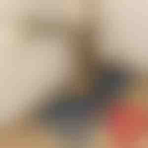 Virtuvės kilimėliai | CHEFMAT