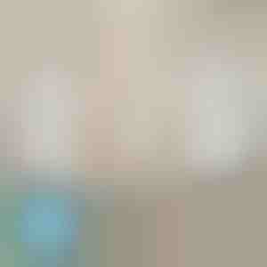 Antklodžių laikikliai, kurie niekada neslysta (4 vnt.) | EVOHOLD