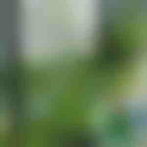 Dekoratyvinės dirbtinės žolės plytelės (5 vnt.) | GRASSTILE