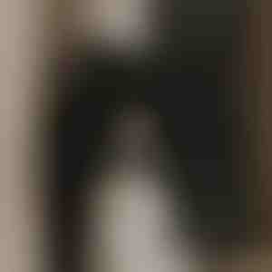 Galingas ištraukiamasis ventiliatorius švariam orui | VENTORIS