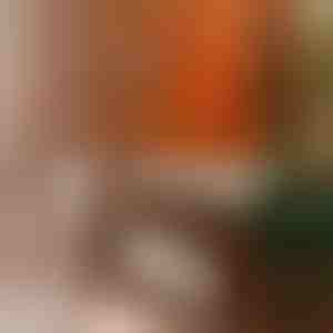 Poliravimo priemonė apsaugai ir spindesiui | BEEWAX