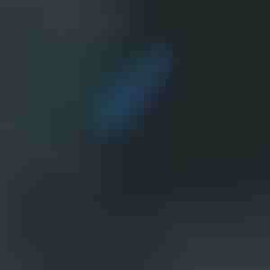 Tikslaus pjovimo putų rašiklis | FOAMPEN